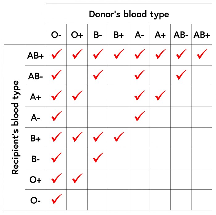 Blood types and donation possibilities worksheet a answer key