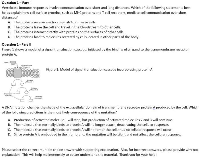 Vertebrate immune responses involve communication